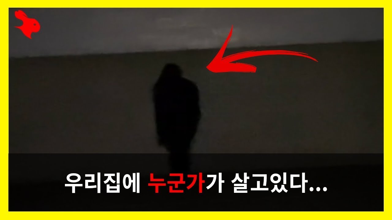72.【틱톡에 올라온 무서운영상23】 우리집에 누군가가 살고있다   dinonuggets741