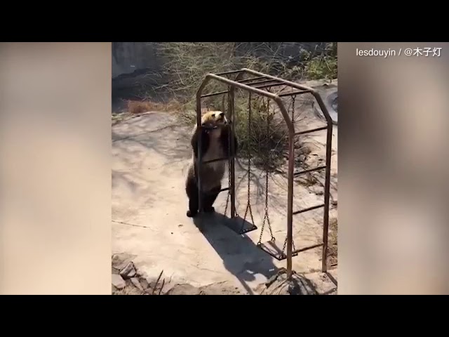 ������������