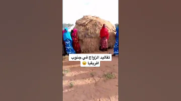 تقاليد الزواج في جنوب افريقيا 