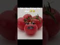 #trending# short #video happy Raja#HappyTMRaja