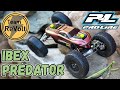 ProLine Ibex (Predator) — The Ultimate Rock Weapon? 🧗♂️ Tested on Our New Sporty Build!