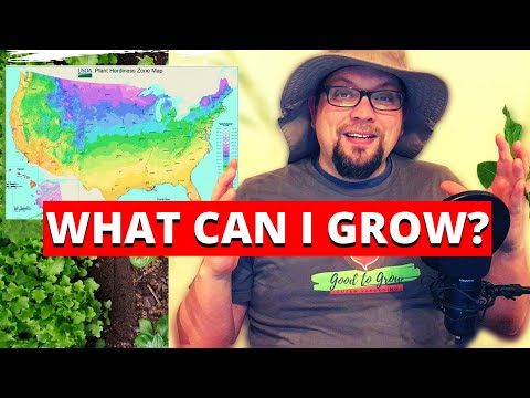 Video: Understanding Hardiness Zones: How To Use Hardiness Zone Info Effectively
