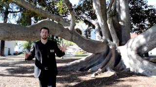 Library Park Monrovia CA