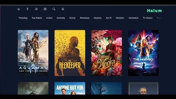 Halum ( A multimedia Entertaining Platform Demo)