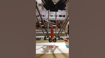 Automex Exhibition 2019 Highlights - Delta Robot