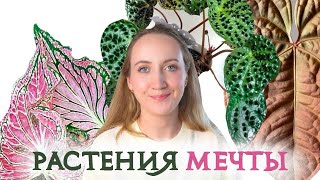 Мои РАСТЕНИЯ МЕЧТЫ |  НОВЫЙ Вишлист растений | Май 2024 💚