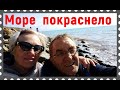 Красное море в Анапе не в первый раз