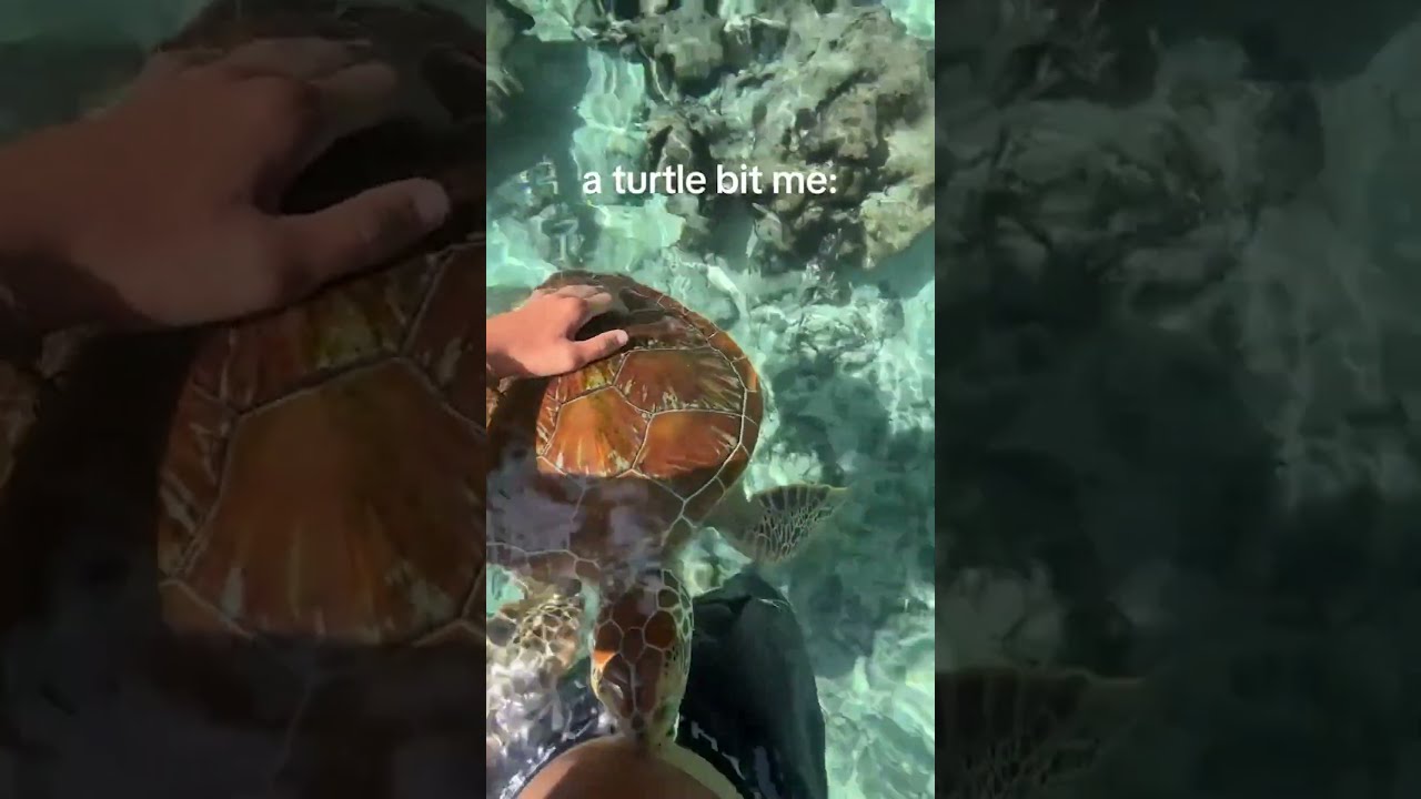 Why Did He Do This