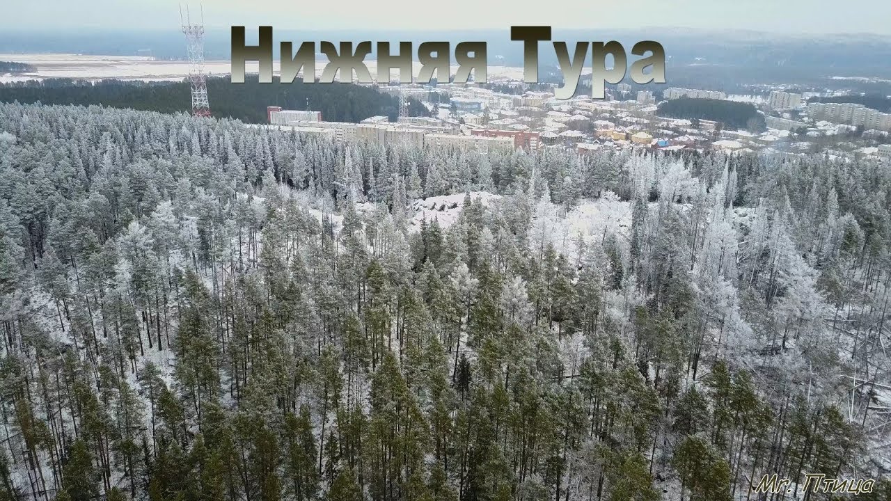 Нижняя тура газель
