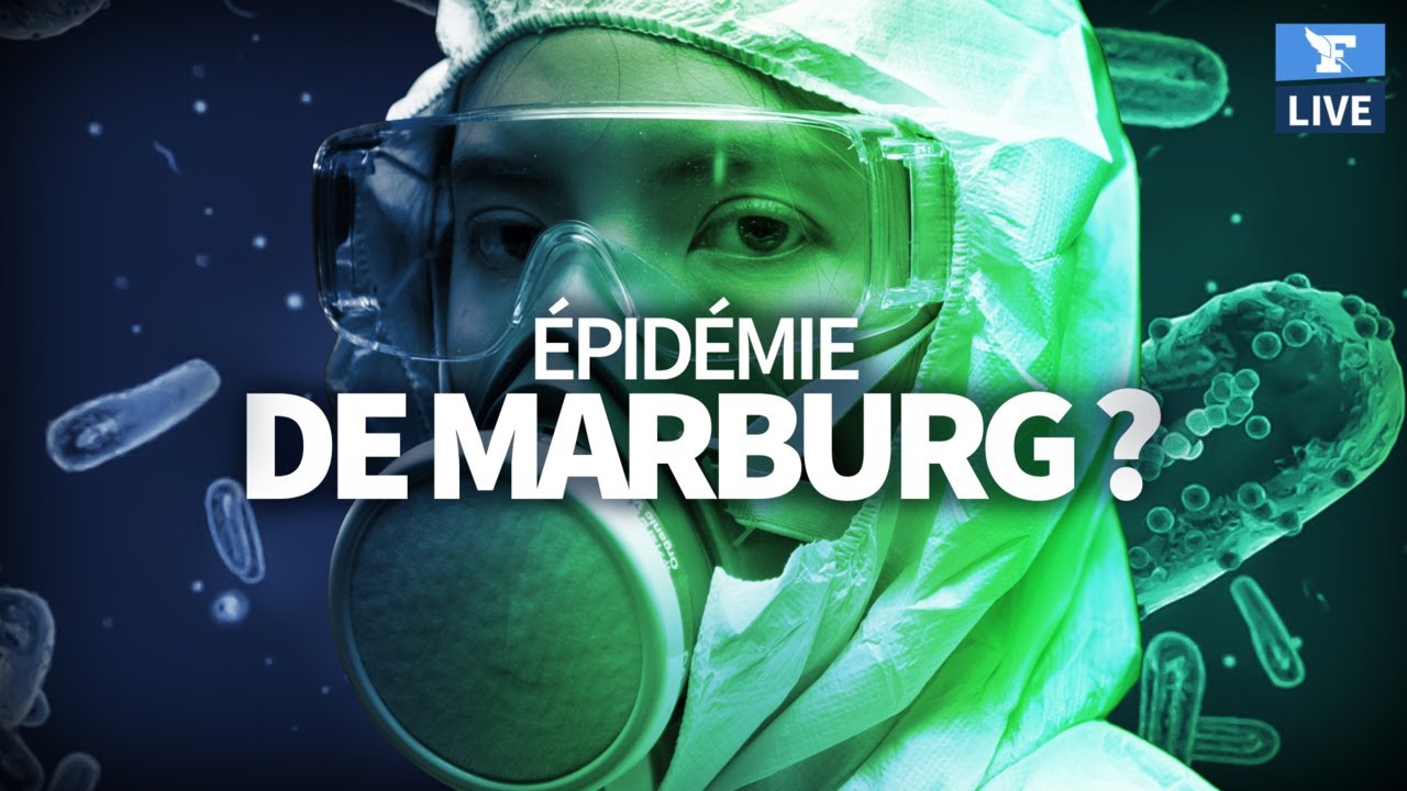 🦠Faut-il craindre une épidémie du virus Marburg?
