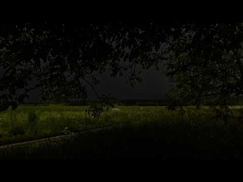 Hiding Under a Tree | Thunderstorm Rolling Over the Fields | Summer at Grandma's Village