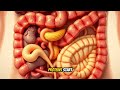 I Mastered Digestive Health in 30 Days — Shocking Results & Gut Health Secrets That Work!
