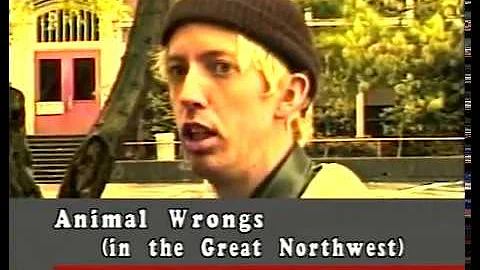 Sixth Busiversary (1996-1997) (part 1)