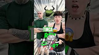 Lomito Comoce A Tinca