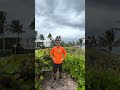 Our iguana trapping team is on-site in the beautiful billionaires row section of Palm Beach