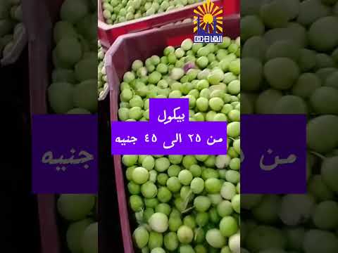 اسعار الزيتون بسوق العبور لتجارة الجملة ١٤ ٨ ٢٠٢٥