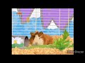 Wonder Pets Ending On Nick Jr Germany 2011 SUPER RARE Wonder Pets Ending On Nick Jr Germany 2011 SUPER RARE