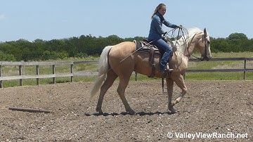 Boon Taur Bar - swinging the rope and dragging the log! - ValleyViewRanch.net