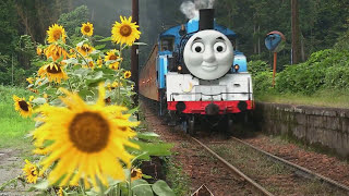 Real Life Giant Thomas And Friends James, Hiro, Percy. Thomas Wooden Railway