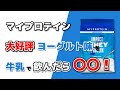 ヨーグルト味のプロテインを牛乳で飲んだらおいしいのか？マイプロテインインパクトホエイプロテインヨーグルト味で試してみた！#35