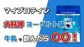 ヨーグルト味のプロテインを牛乳で飲んだらおいしいのか？マイプロテインインパクトホエイプロテインヨーグルト味で試してみた！#35