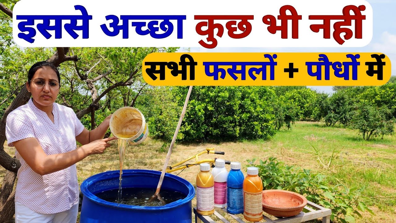 सिर्फ एक ऑर्गेनिक कल्चर से 4 गुना अधिक पैदावार bio nematon nematode