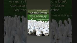 Pi̇r Muhammed Hüseyi̇n R.a