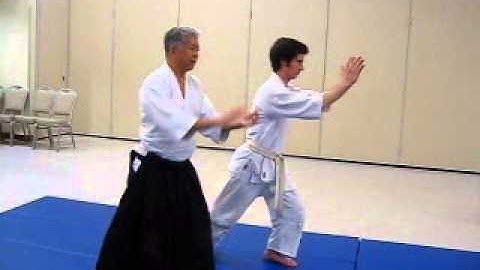 Zengo Undo Details - AAA 5th Kyu Ki Test and Exercise