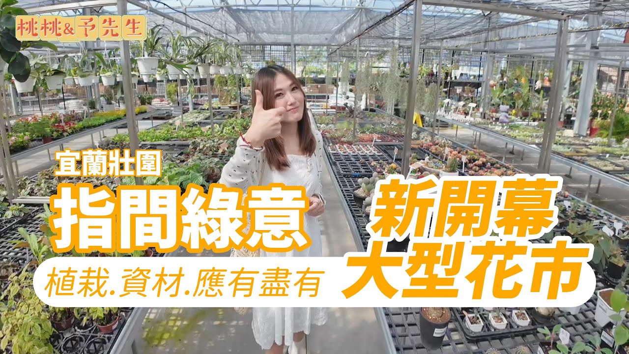 宜蘭壯圍新花市-指間綠意-超大真的逛不完！觀葉.資材超多超便宜～