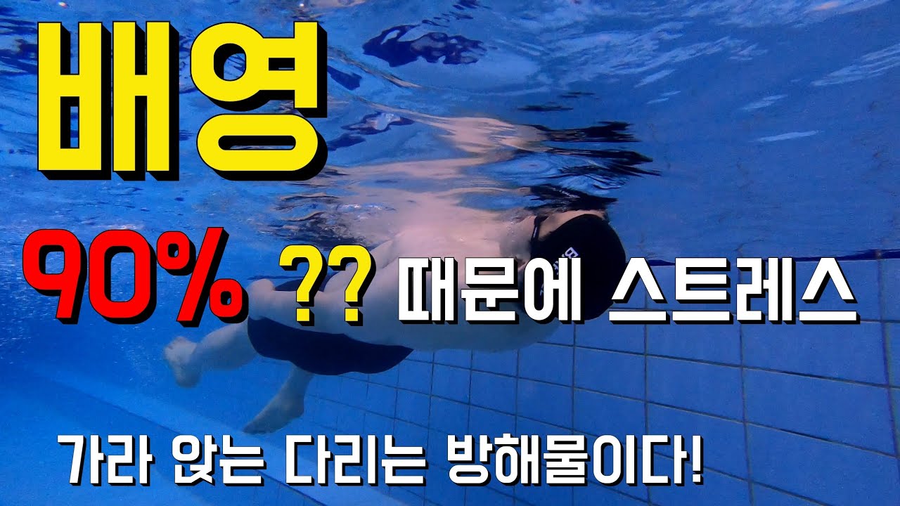 초급 회원님 배영 OO때문에 스트레스 받는다!(다리 가라앉는 문제도 시급합)