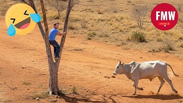 Funny & Hilarious People Life 😆 #538  | TRY NOT TO LAUGH CHALLENGE 😂 | Funny Videos Compilation 2025