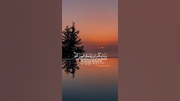 اجمل تلاوة القران الكريم رعد الكردي حالات واتس اب قران حالة نفسية ❤️💕