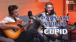 PARVANI VIOLET - Cupid