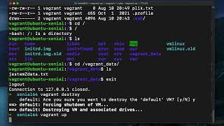 2.8  Polecenie Vagrant Destroy