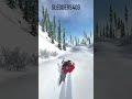 Fun Drop On Woodland