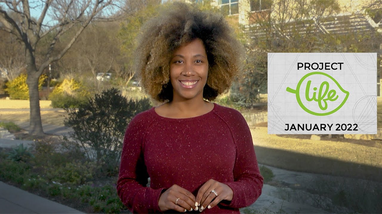 Project Life 🌿 January 2022 - YouTube