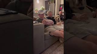 Funny Dogs #Funny #Cute #Dogs #Pets #Trending #ForYou