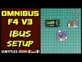 Omnibus F4 V3 - iBUS Setup