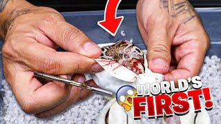 Did we just hatch a worlds first? Profile