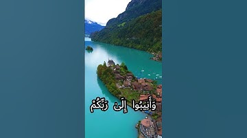 سورة [الزمر: 53-55]#ابن_تيميه #ابن_عثيمين #احاديث #الأمر_بالمعروف_والنهي_عن_المنكر #قرآن#تلاوة_هادئة