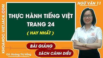 Thực hành tiếng việt trang 24 | Ngữ văn 11 - Cánh diều (HAY NHẤT)