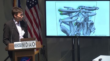 Large Scale Wind Farm Optimization Integrating Julia with OpenMDAO