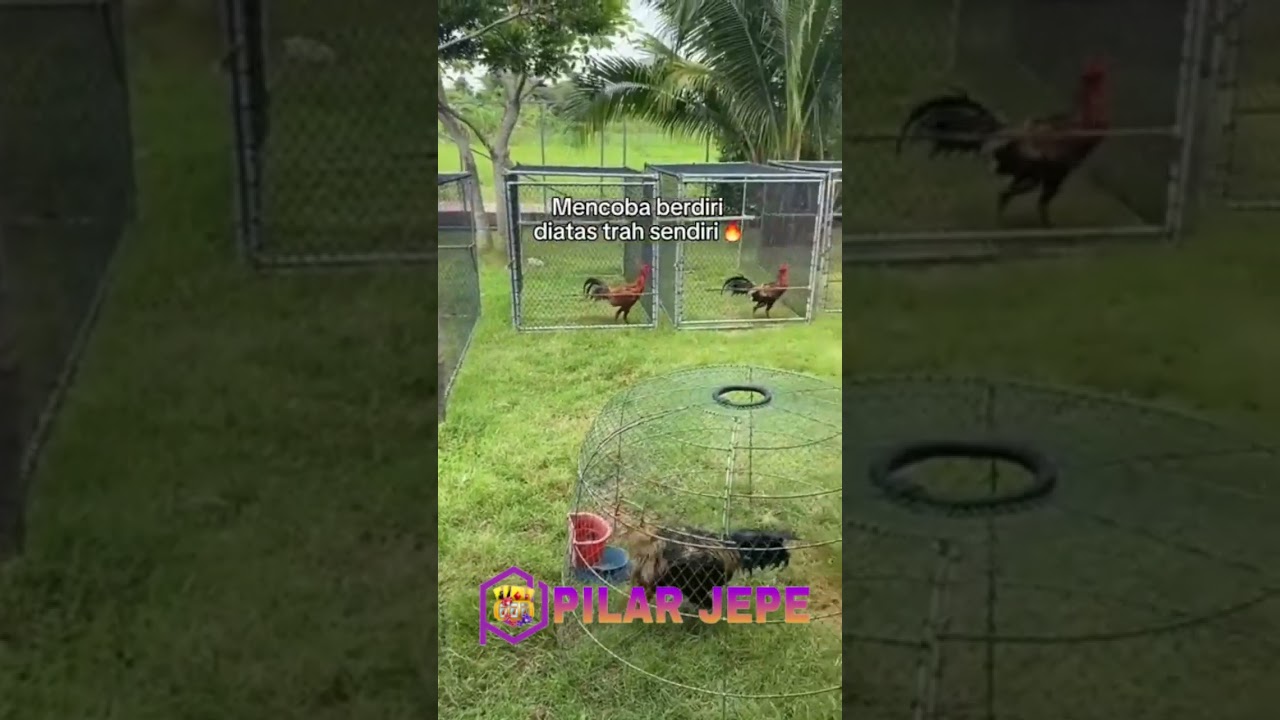 tro chơi miễn phí PILARJEPE LOGIN SITUS SLOT PALTFORM SCATTER HITAM MUDAH MENANG