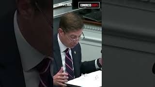Rep. Levin vs. VA Sec Collins: Heated Exchange Over Proposed Arlington Arch Project