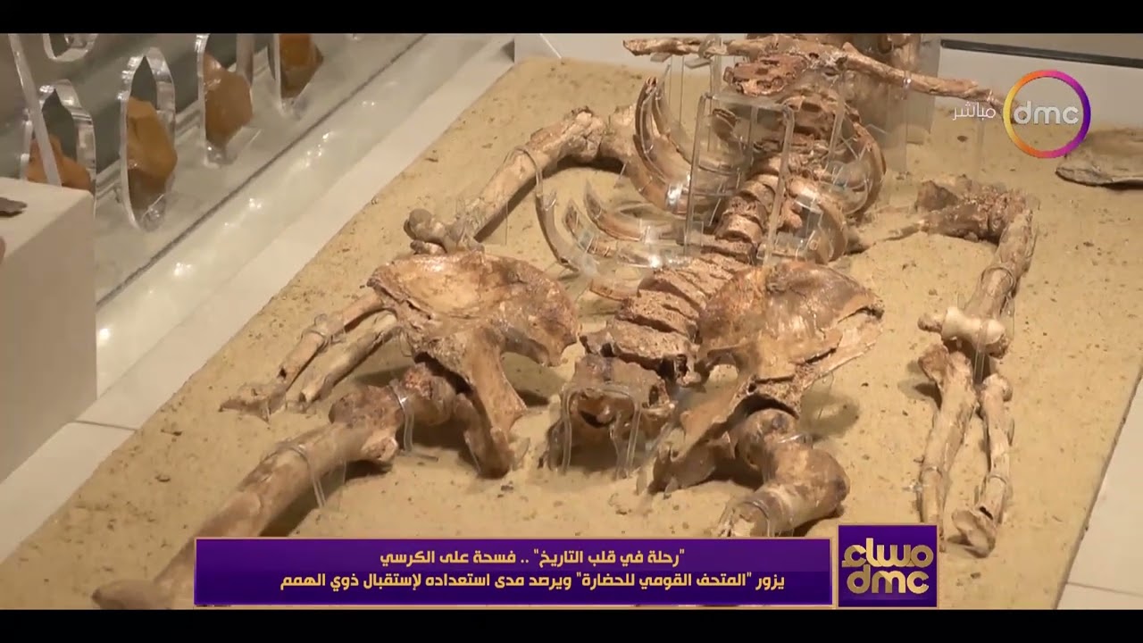 رحلة في قلب التاريخ فسحة على الكرسي يزور المتحف القومي للحضارة ويرصد مدى استعداده لإستقبال ذوي الهمم