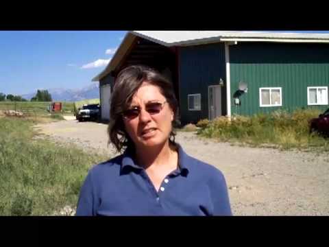 High Wire Ranch - YouTube