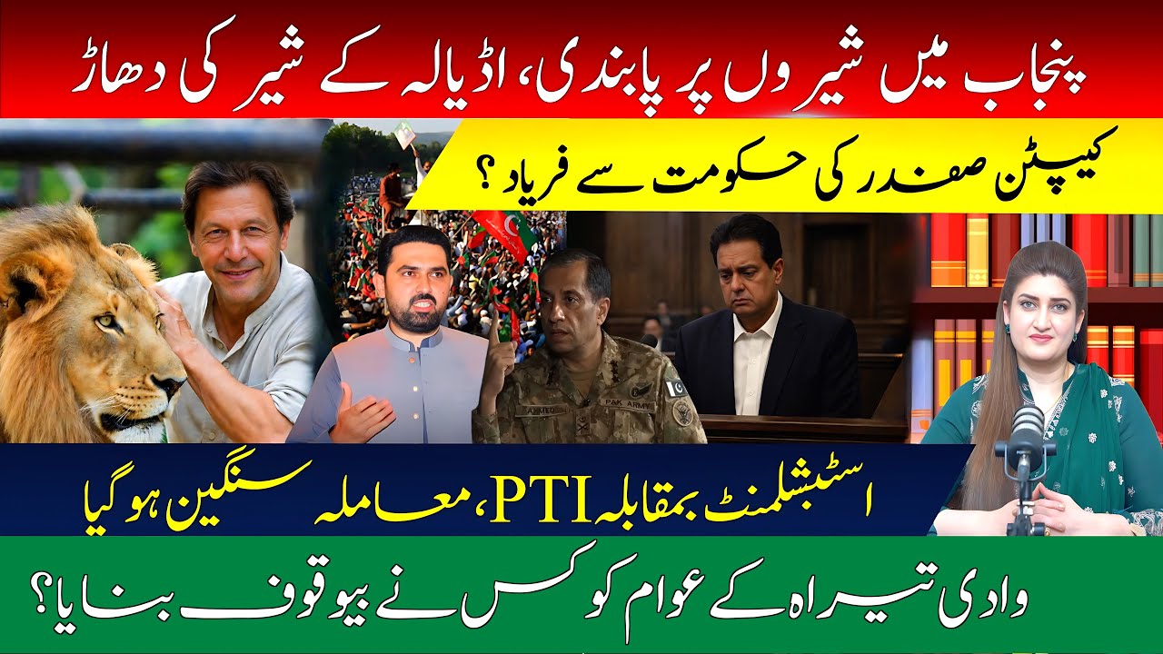 Government in Panic after PTI’s Ultimatum | Is 8th Feb the D-Day? l PARAS JAHANZAIB