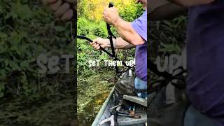 Set them up! Beaver trapping! #keepitreal #homestead #lifeonthefarm #creeklife #trapping