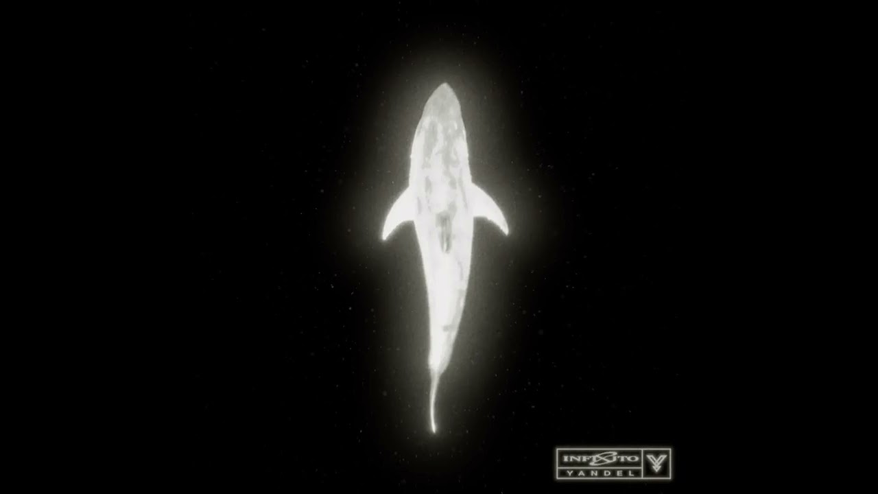 11. Yandel - Pa' Ti Full (2026) (Infinito) 