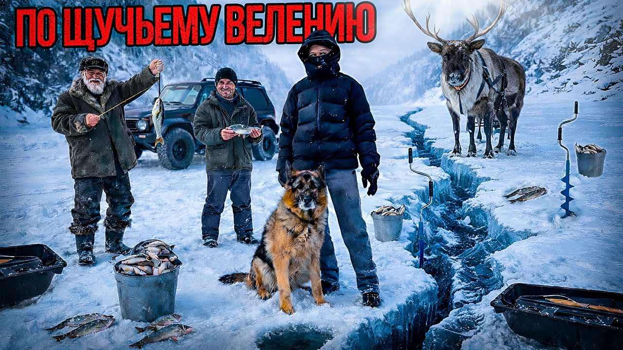 «По щучьему велению, по моему хотению» ЛСД / МАРКИ / Синтетический «БЭД ТРИП»